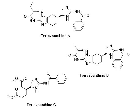 Estructura química de las terrazoantinas
