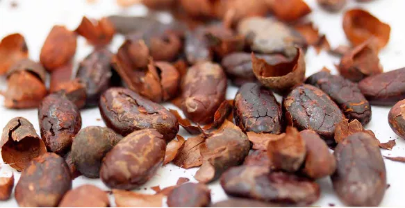 Cascarillas del grano de cacao. Fuente: Arawi chocolate